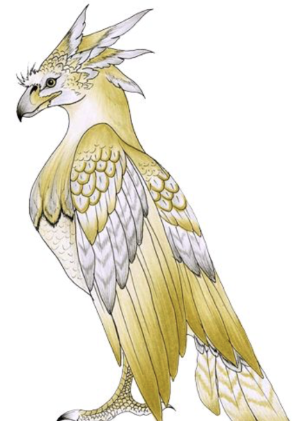alicanto-bird